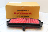 11013-0767 ELEMENT-AIR FILTER